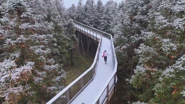 無綫新聞 TVB News