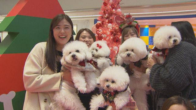 無綫新聞 TVB News