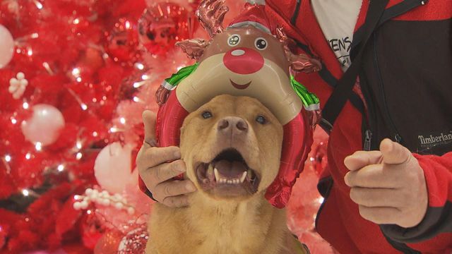 無綫新聞 TVB News