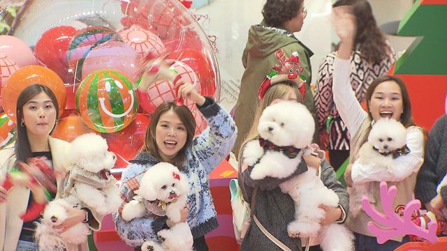 無綫新聞 TVB News