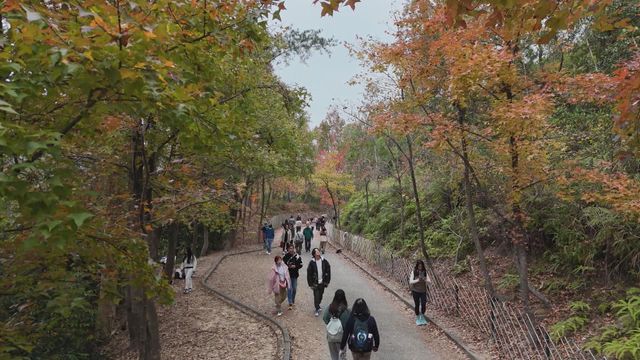 無綫新聞 TVB News