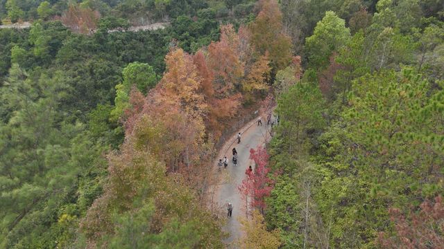 無綫新聞 TVB News