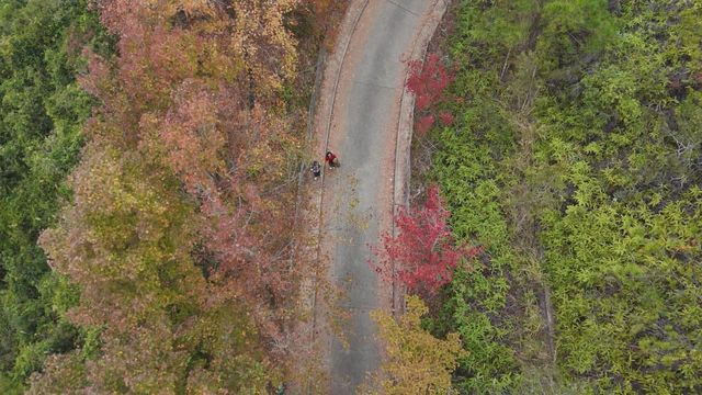 無綫新聞 TVB News