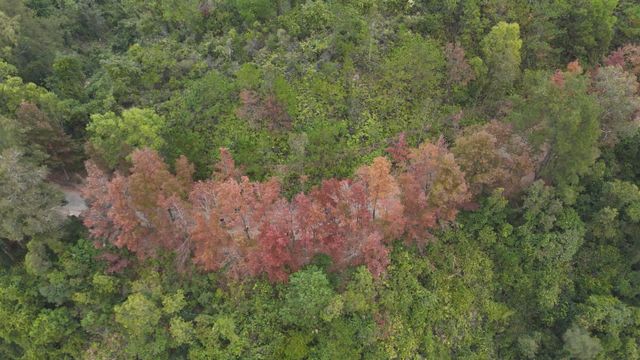 無綫新聞 TVB News