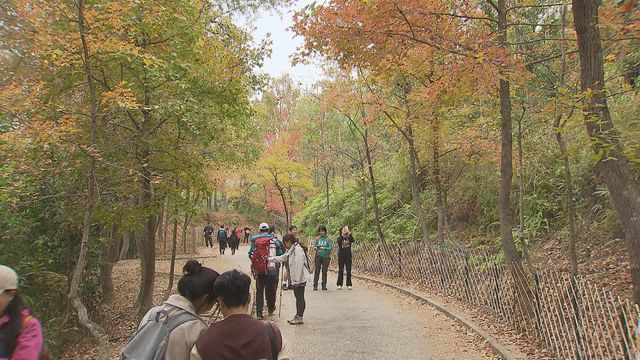 無綫新聞 TVB News