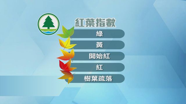 無綫新聞 TVB News