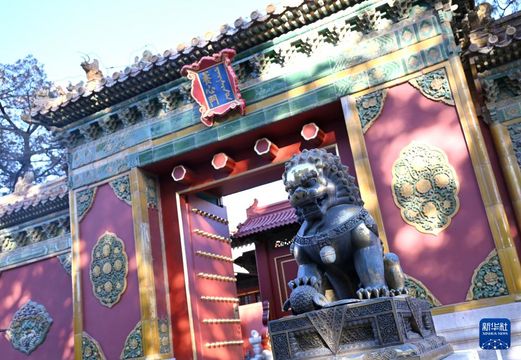 無綫新聞 TVB News