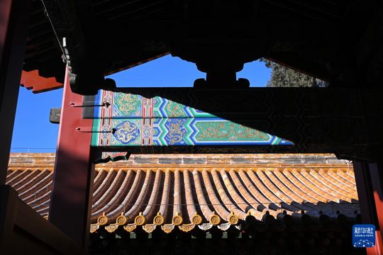 無綫新聞 TVB News