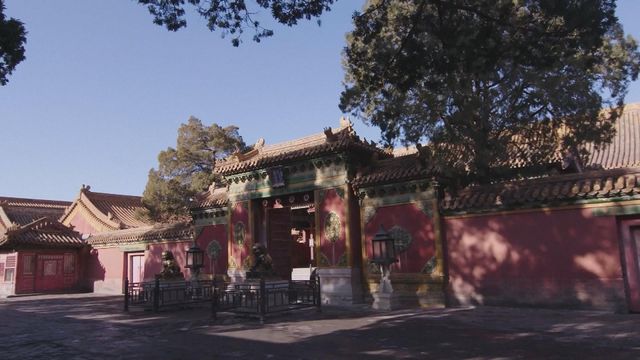 無綫新聞 TVB News