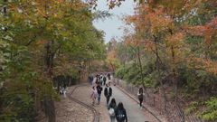 Residents take in stunning views of Sweet Gum Woods in Yuen Long