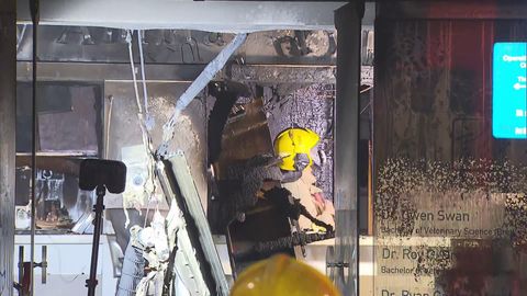 何文田有動物診所起火　無人或動物受傷