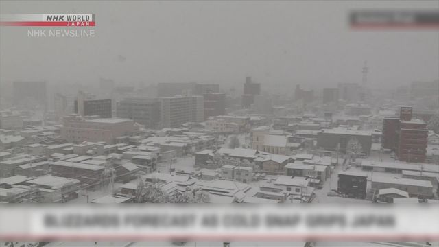 無綫新聞 TVB News