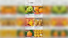 Health concerns grow as cross-border online grocery shopping on the rise