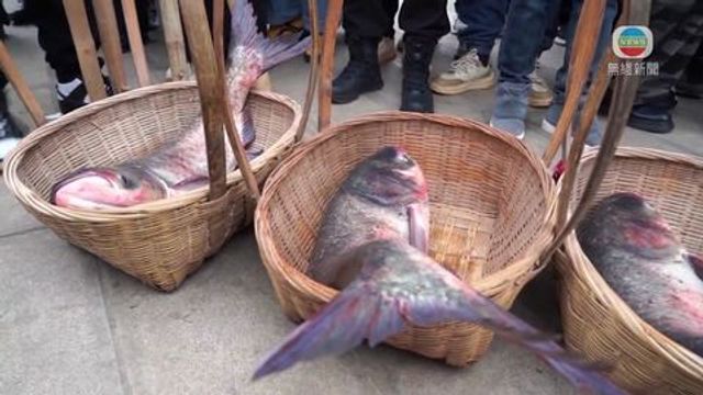 無綫新聞 TVB News