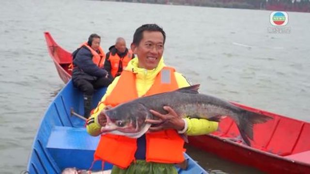 無綫新聞 TVB News