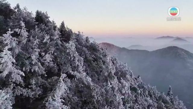 無綫新聞 TVB News