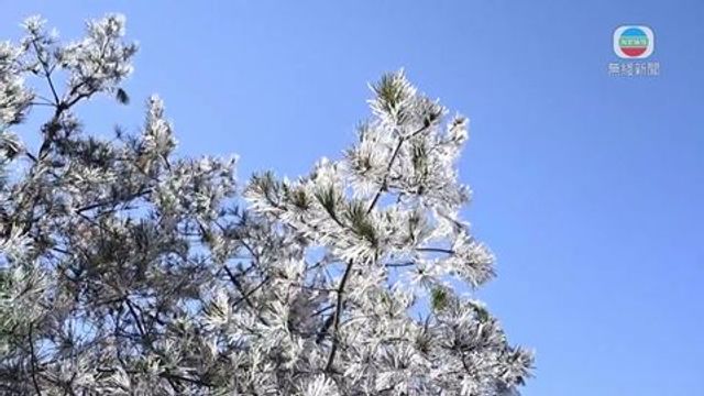 無綫新聞 TVB News