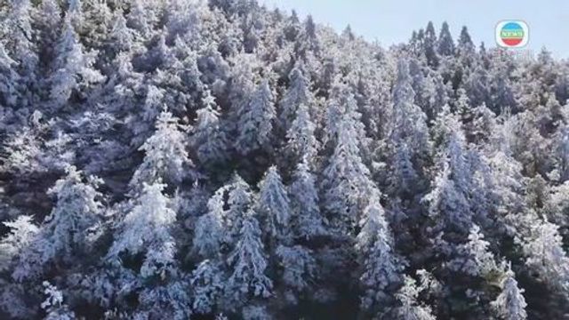 無綫新聞 TVB News