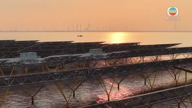 無綫新聞 TVB News