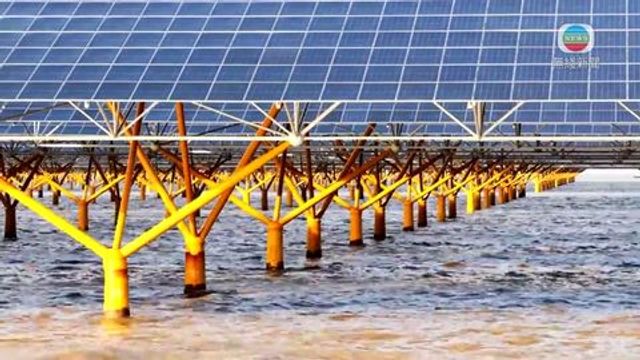 無綫新聞 TVB News