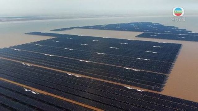 無綫新聞 TVB News