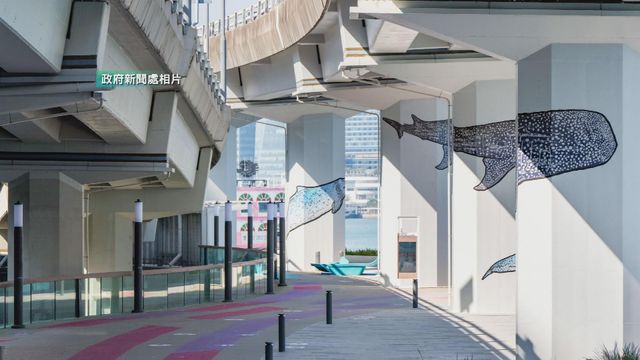 無綫新聞 TVB News