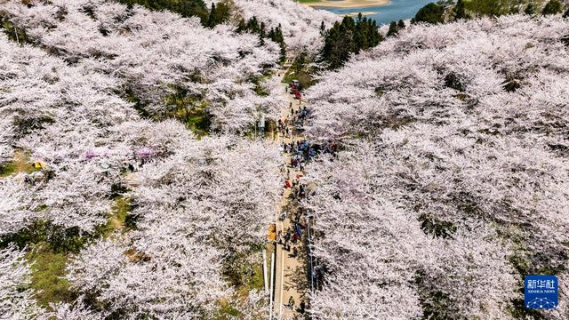 無綫新聞 TVB News