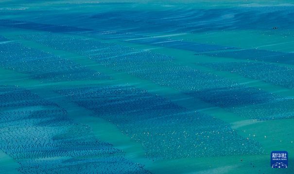 無綫新聞 TVB News 無綫新聞 TVB News