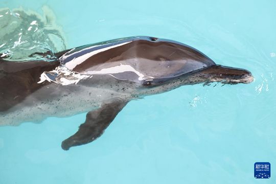 無綫新聞 TVB News 無綫新聞 TVB News