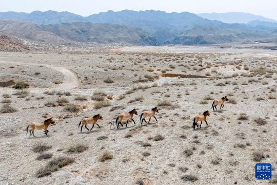 無綫新聞 TVB News 無綫新聞 TVB News