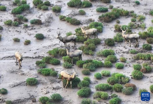 無綫新聞 TVB News 無綫新聞 TVB News