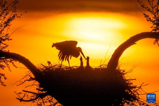 無綫新聞 TVB News 無綫新聞 TVB News