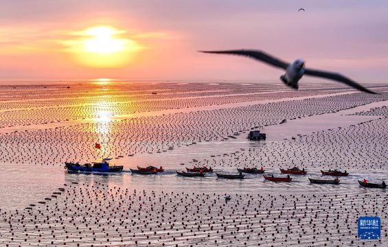 無綫新聞 TVB News 無綫新聞 TVB News