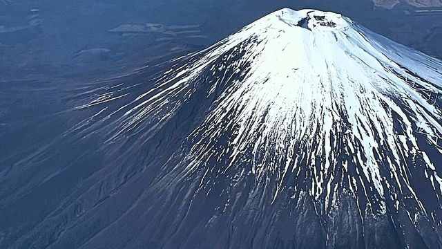 無綫新聞 TVB News