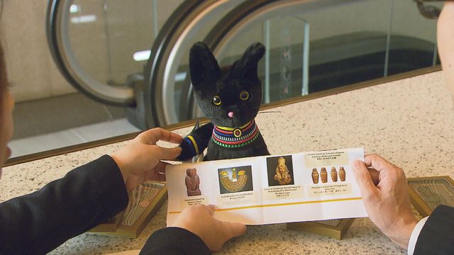 無綫新聞 TVB News