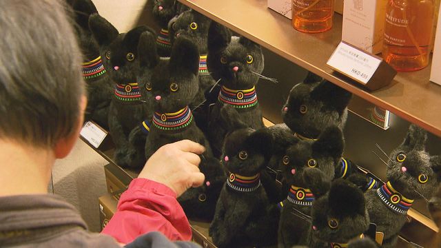 無綫新聞 TVB News