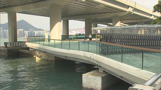 無綫新聞 TVB News