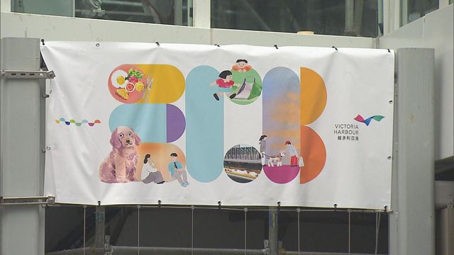 無綫新聞 TVB News