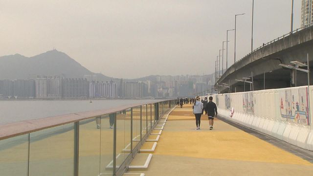 無綫新聞 TVB News