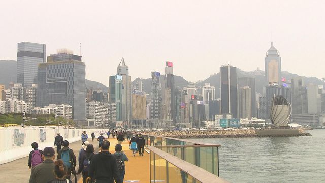 無綫新聞 TVB News