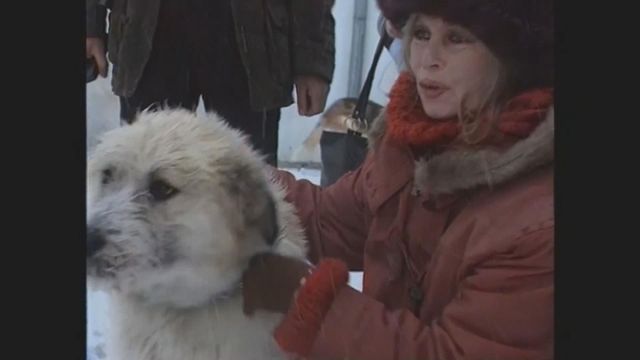 無綫新聞 TVB News