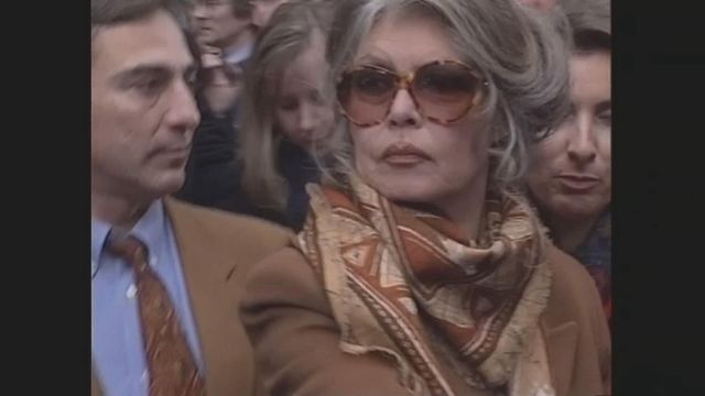 無綫新聞 TVB News