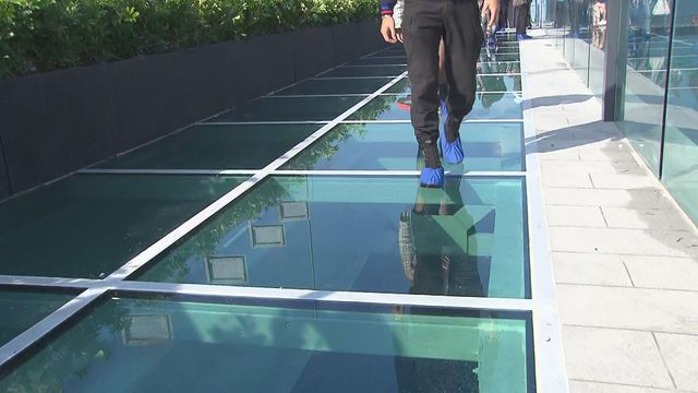 無綫新聞 TVB News