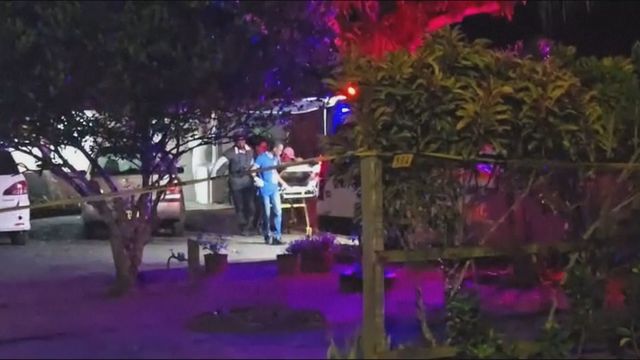 9 killed in Suriname knife attack