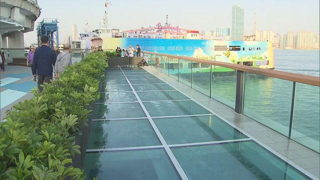 無綫新聞 TVB News