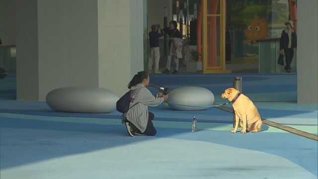 無綫新聞 TVB News