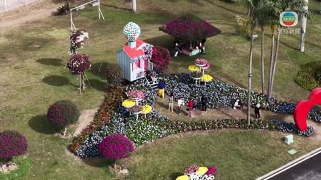 無綫新聞 TVB News