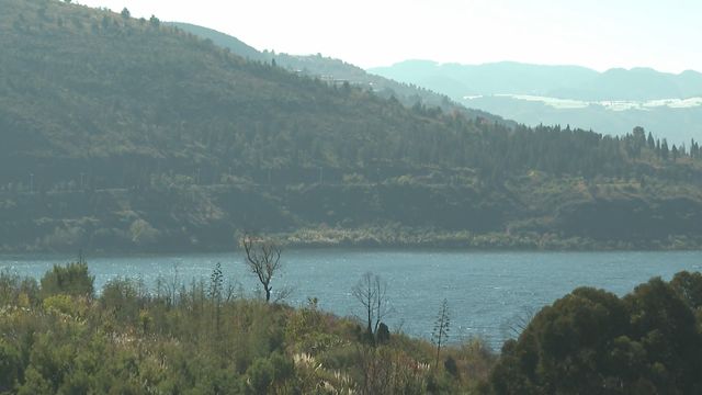 無綫新聞 TVB News