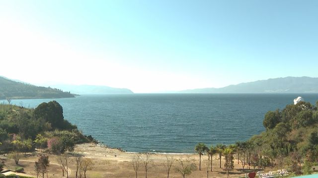 無綫新聞 TVB News