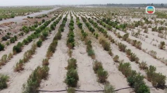 無綫新聞 TVB News